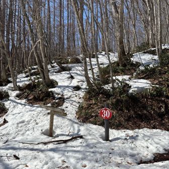 登山道はここからスタート
30番からカウントダウン