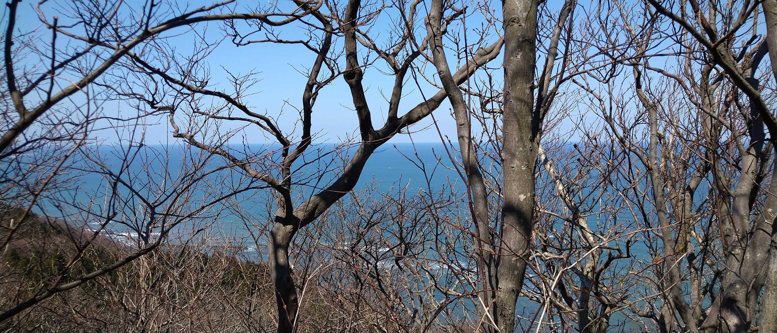 岩殿山からの日本海🌊
当時は木も伐採され、沖を行く舟を監視していたのでしょうか🤔