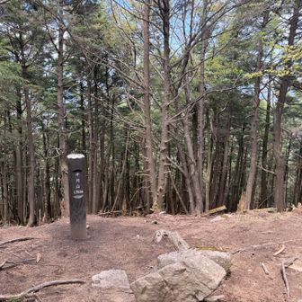 半月山の山頂。この山頂には眺望無し