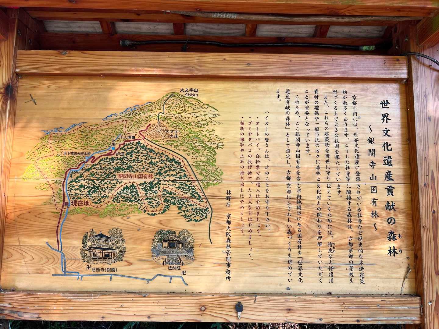 大文字山-八神社登山口 縦走コースの写真