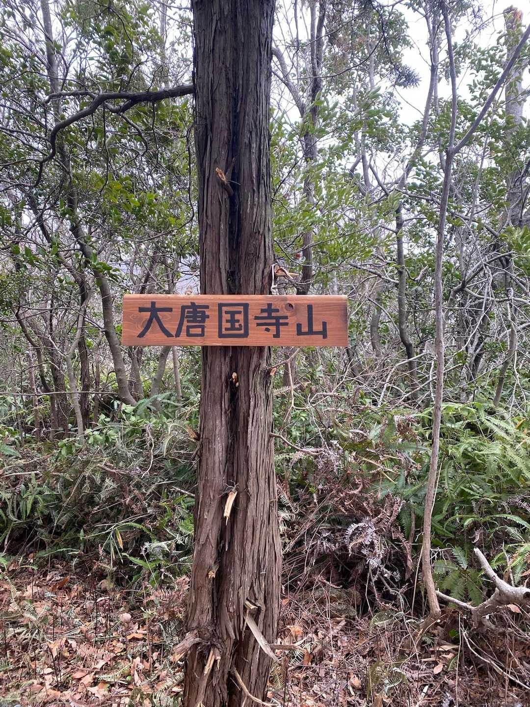 ここ❣️ここ❣️ヤマッパーさんありがとうございます😊