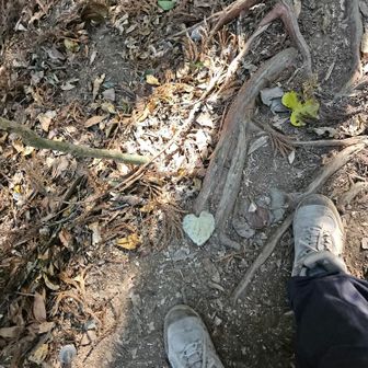 帰りにハート発見