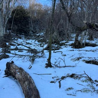 ここまで直登。非常に登りづらい。トラバースもきつい。最後の岩ゾーンも直登してしまい、リスクヘッジできず。ぷち反省。