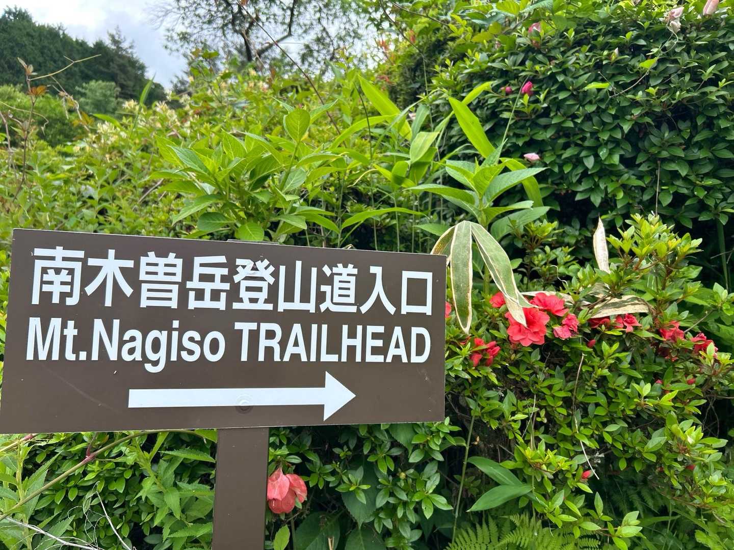 お疲れ山でしたー