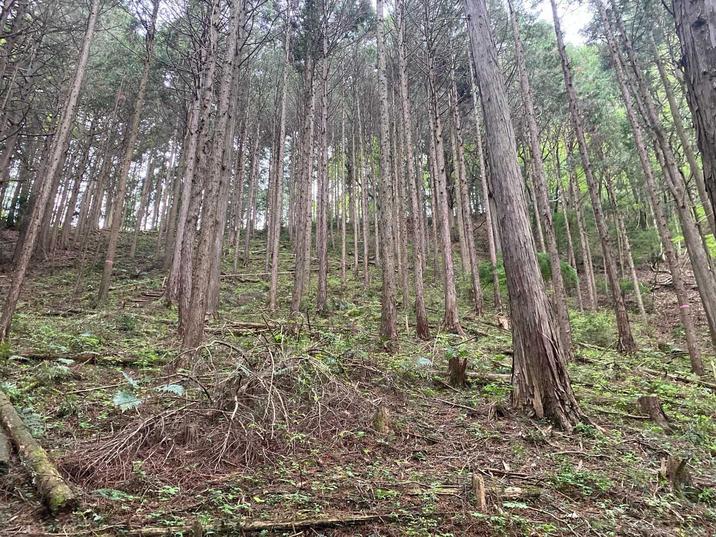 栃木の里山らしい雰囲気