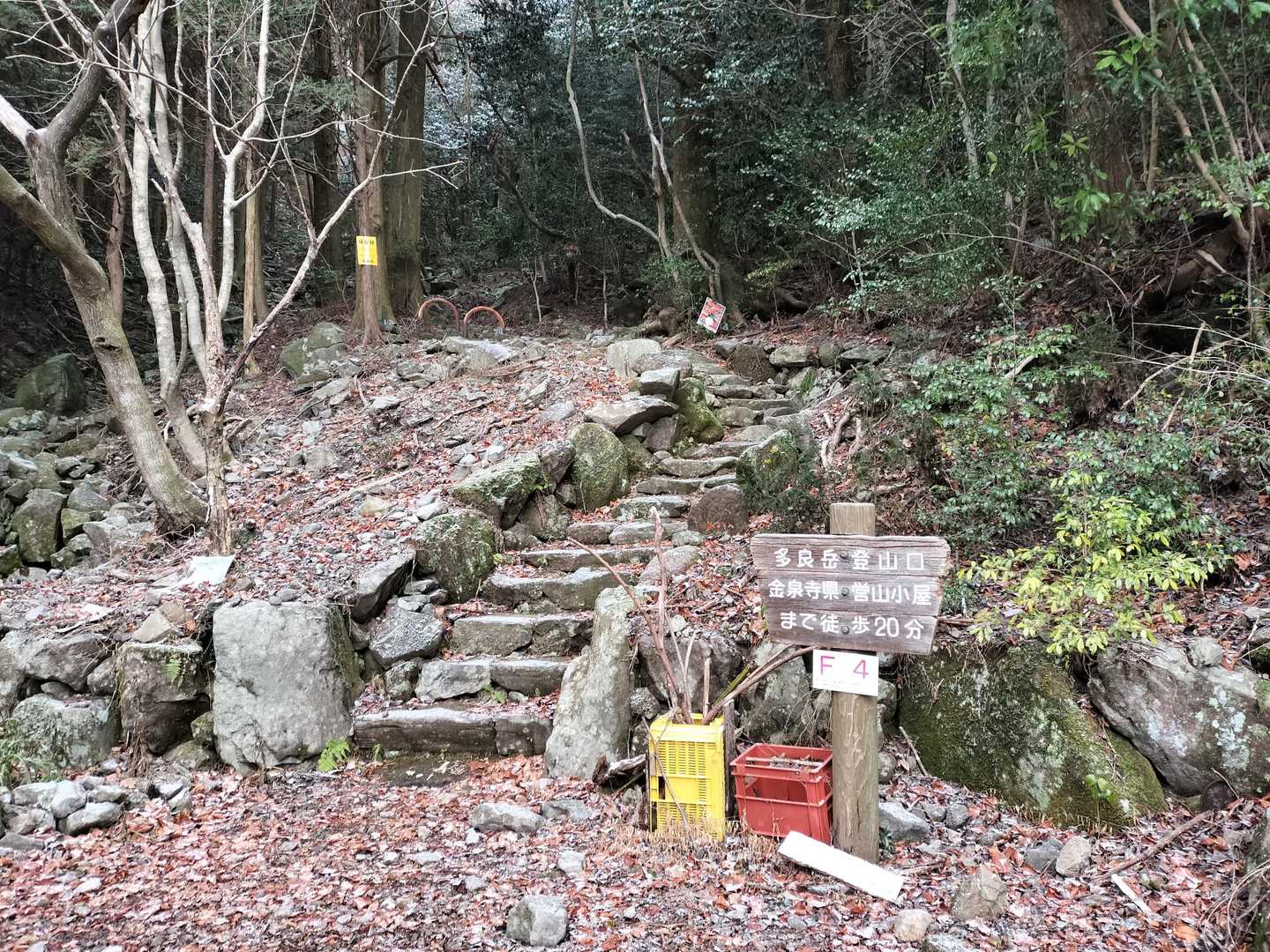・・ですが、登山口が近くなるにつれて空気がひんやりとしてきて、空からも白いものが。むむむ？！これは大丈夫？
悩みながらもいざ出陣。多良岳登山口、ここから挑みます👣