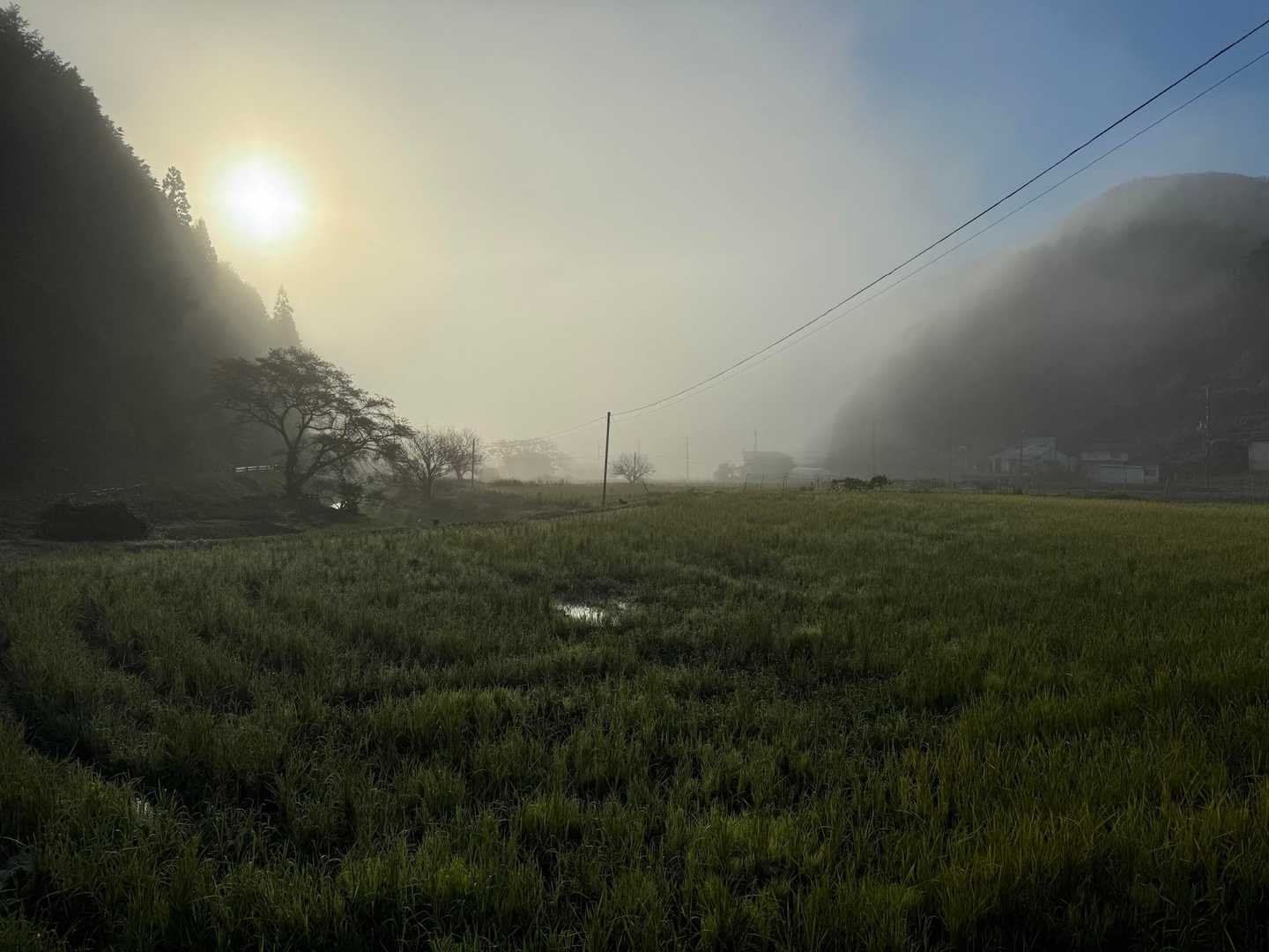 濃霧が晴れてきた。