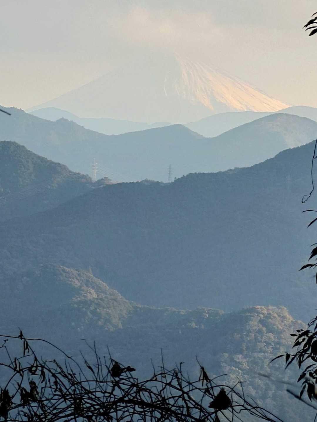 林道から富士山が見えた