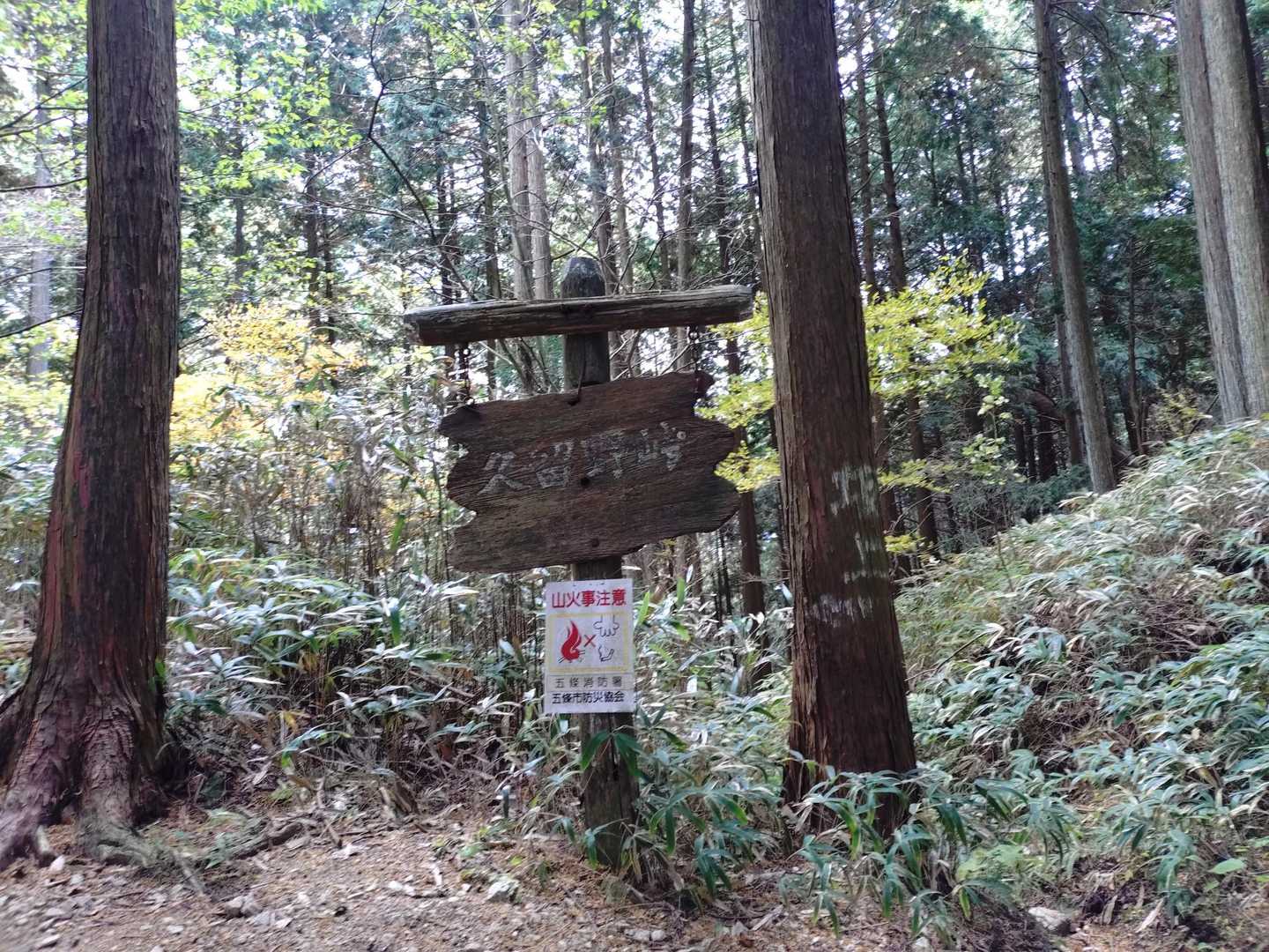 久留野峠 から 中葛城まで が
今日の 頑張り所ですね
後は　尾根が多いので　ココさえ
超えればOKです✌
と  思います🙄　多分？