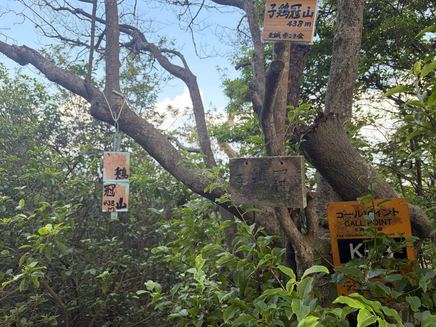 上桐生登山口-鶏冠山 往復コースの写真