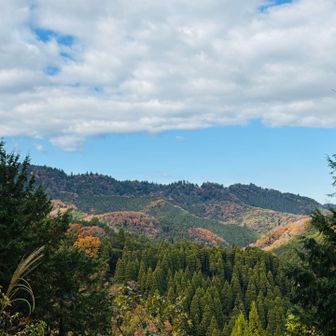 高尾山を臨む眺望ポイント
ベンチもあるが大体誰かが何か食べている