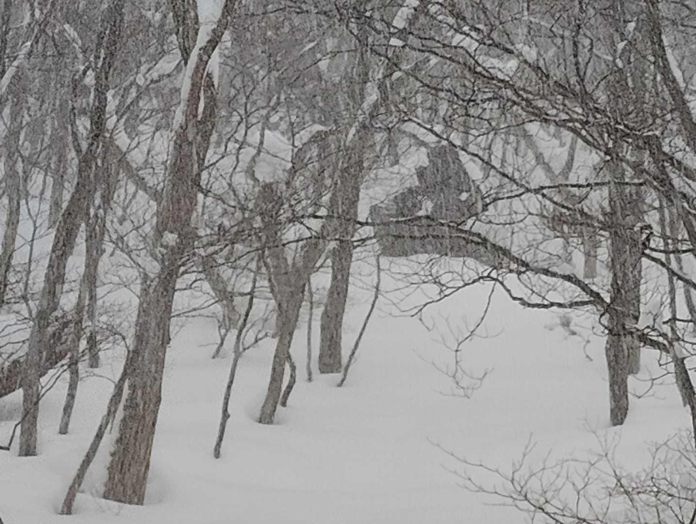 大岩付近　吹雪いていて撮影の時、手が寒い🥶