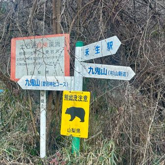 愛宕神社コースから登ります🥾
🐻⚠️