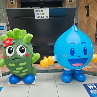 顎オペ7月次最後だと期待してます（笑）