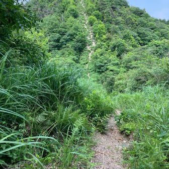 これから行く道が見える