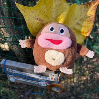 ちびまる子ちゃん✨