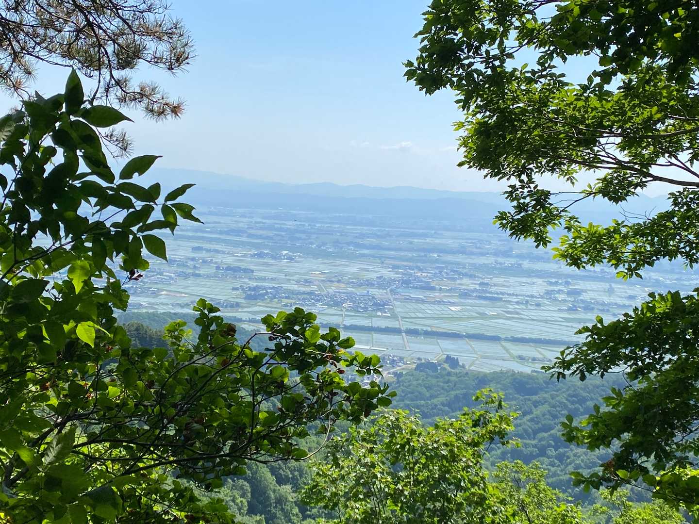 金峯山-鎧ヶ峰-母狩山 周回コースの写真