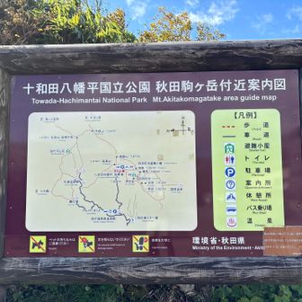 駐車場からすぐに登山口