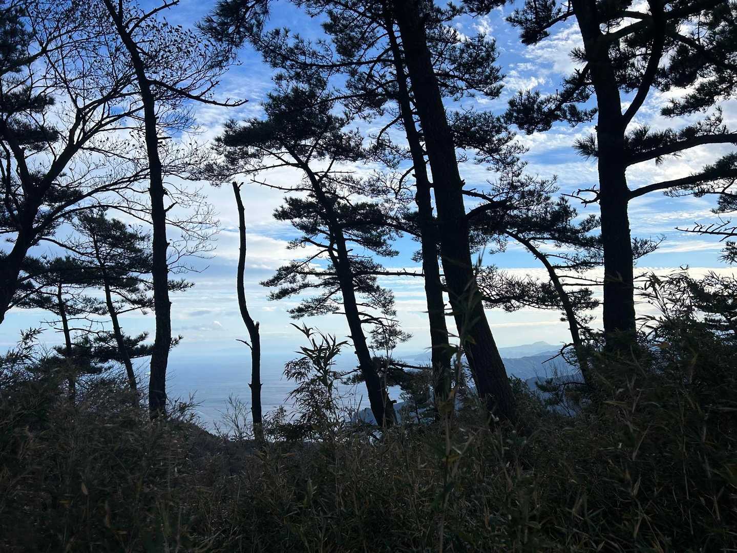 岩戸山・日金山（来宮駅）の写真