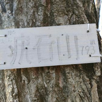 疣石山ｲﾎﾞｲｼﾔﾏ