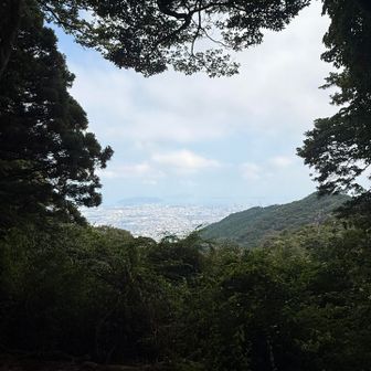 山頂からの眺望