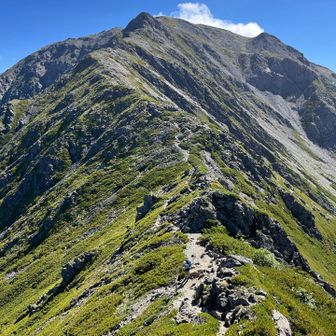 三峰山からの間ノ岳😚
普段なら愕然とする登りだが
時間と体力に余裕ある今日は楽しいのぼり🥳