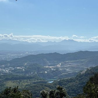 綺麗に見えてます🤩