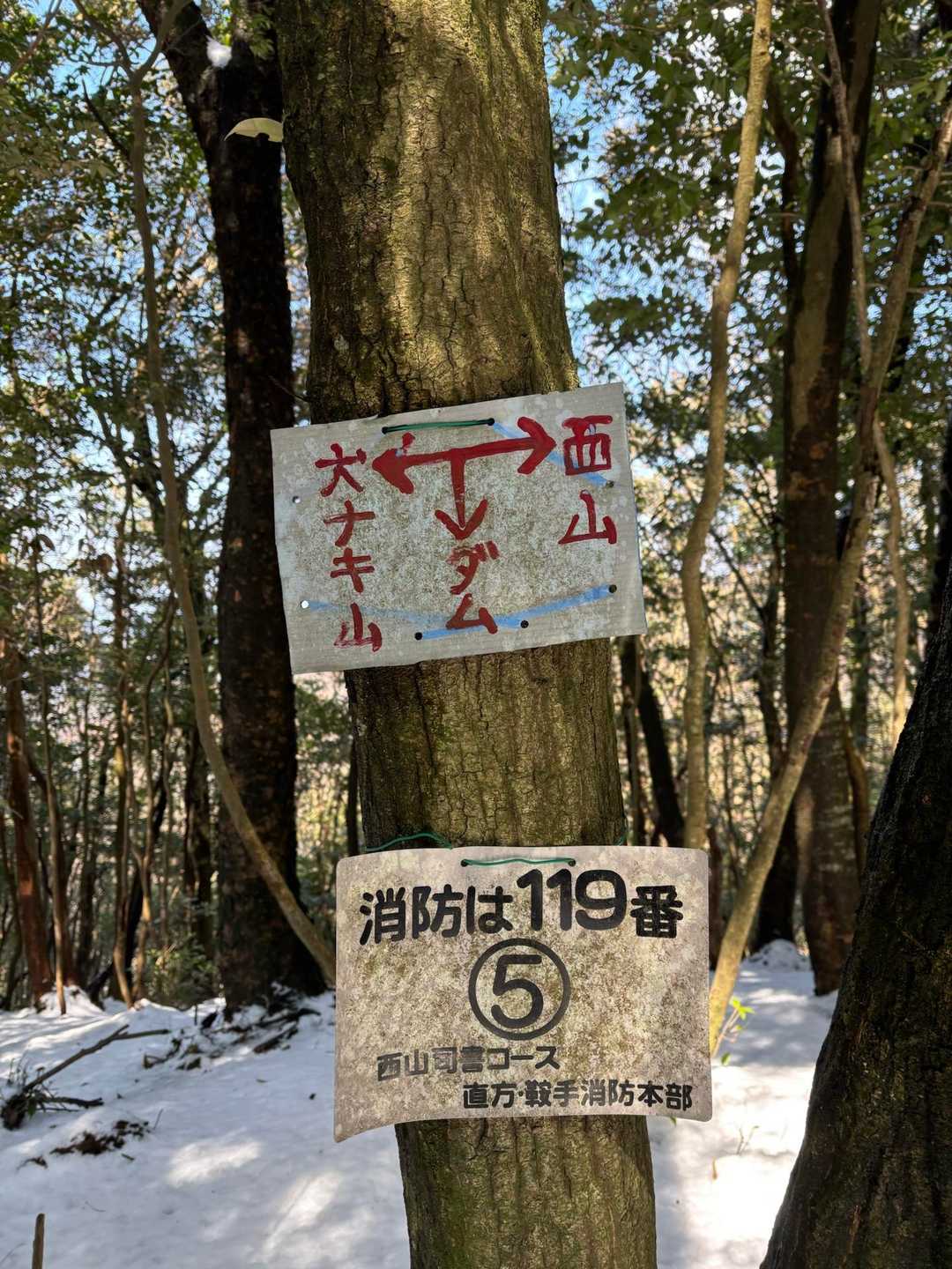 犬鳴山には行きません