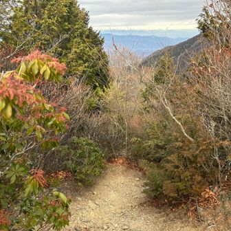 山頂から振り返った眺め
ガッツリ休憩コーヒー&パンで糖分チャージ
