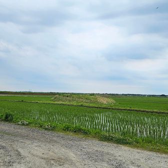 長い林道？田道？🤣
遠いなぁ～😙
登山口までもう少し🚶‍♀️