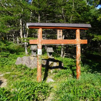 登山口横の「山の神」に無事下山できたこと、絶景を堪能できたことに感謝して参拝。

この後バス停横でヤマップを活動終了させておつかれ山となった。
