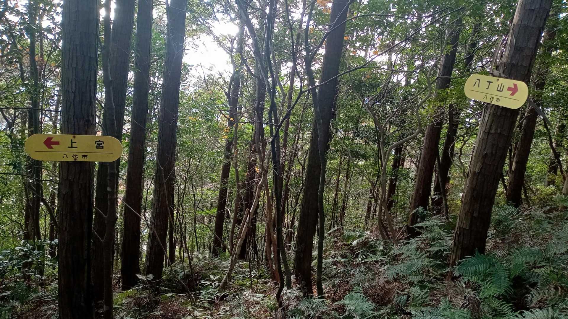 上宮へ