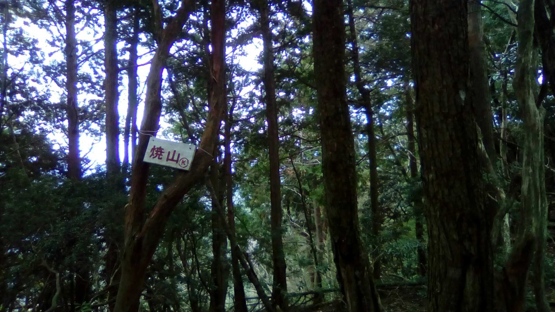 看板はありました👀
景色はなし(;´Д`A ```