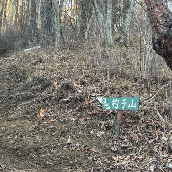いよいよ、登山道へ