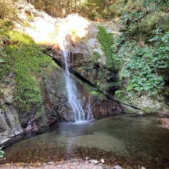 久しぶりに大滝