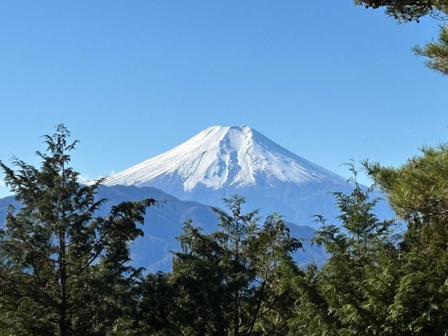 禾生駅-九鬼山-紺屋の休場-田野倉駅 縦走コースの写真
