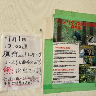 山頂の駐車場まで車できてしまいました😅
展望台をのぼる！