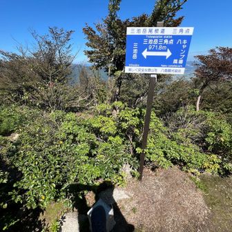 着いたー！