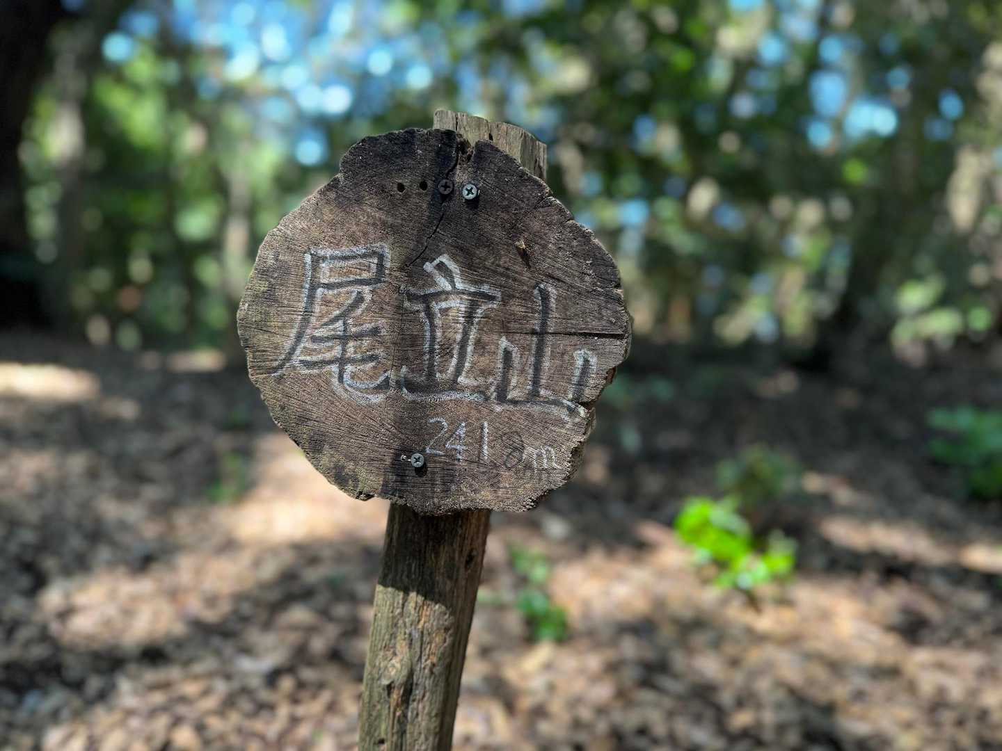 尾立山到着しましたー🙌
眺望なし🙅‍♀️
