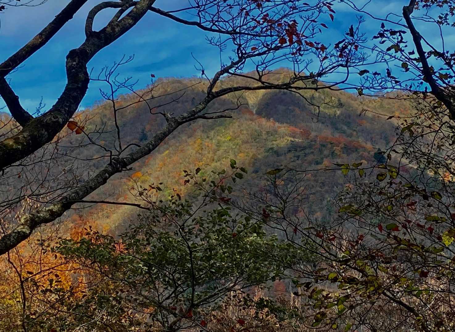 後沢乗越-鍋割山 往復コースの写真