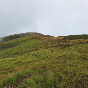 一瞬ガスが晴れて、紫灯森辺りの尾根が見えた。😍
すれ違った登山女性から、姥ヶ岳～紫灯森の稜線が、めちゃくちゃ綺麗だとお勧めされましたが、時間と体力がギリギリなので、姥ヶ岳方面は、また今度ね...💦