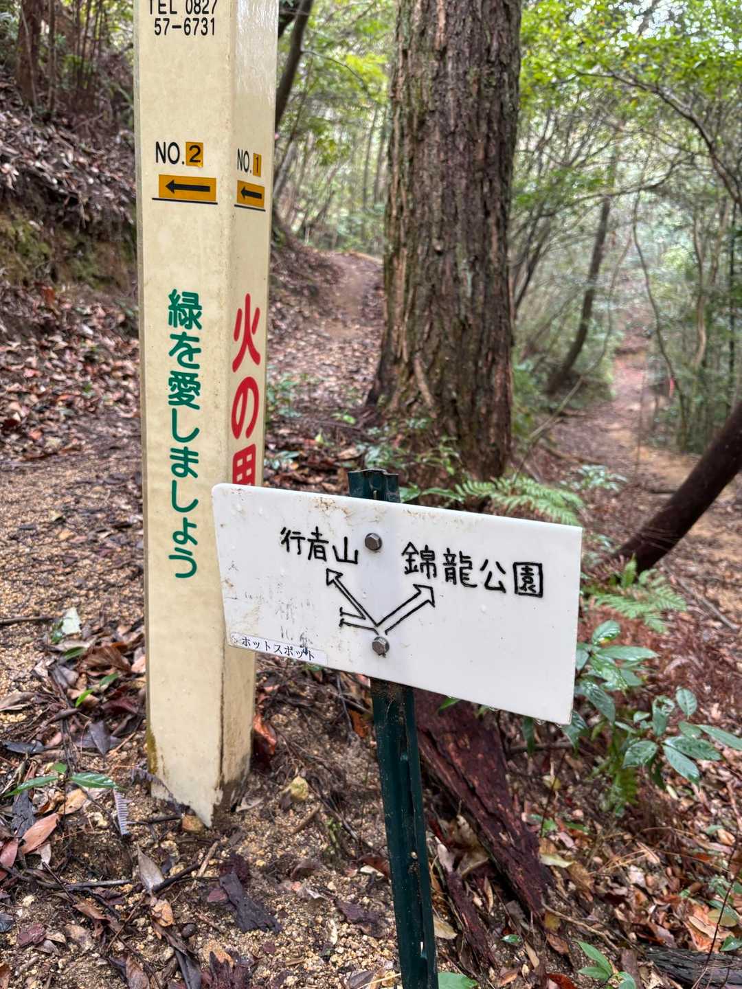 ゆみ氏にもらった可愛いクッキーの撮影をしに、ホットスポットへ❣️