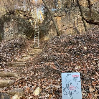 所々にハシゴが掛かっています