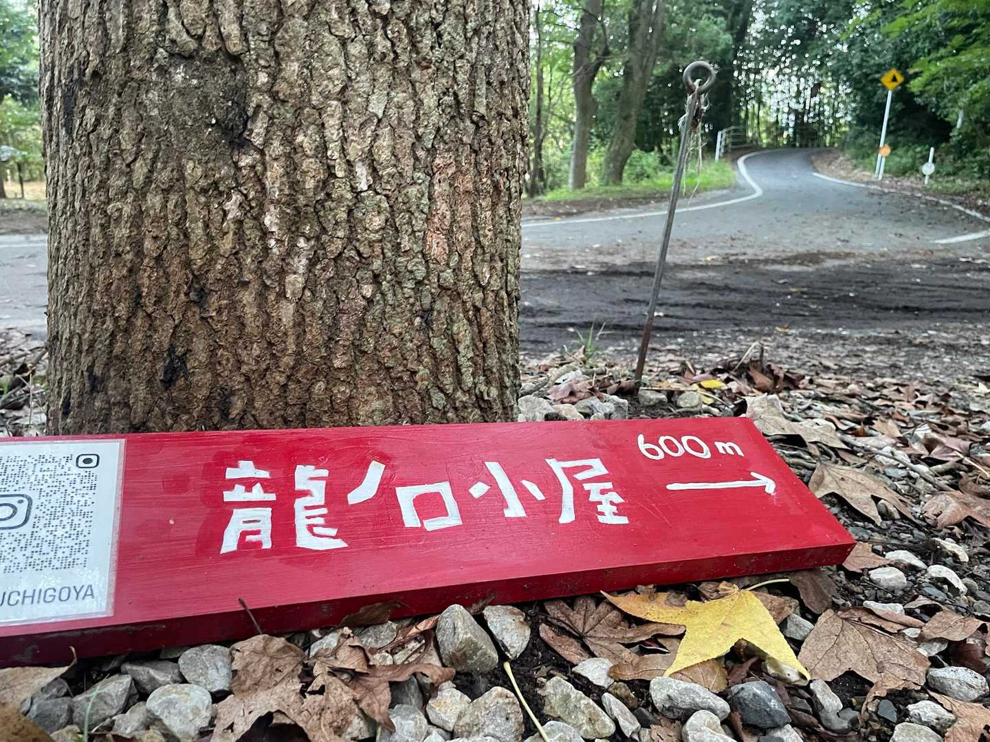 可愛い♡
わくわく♪