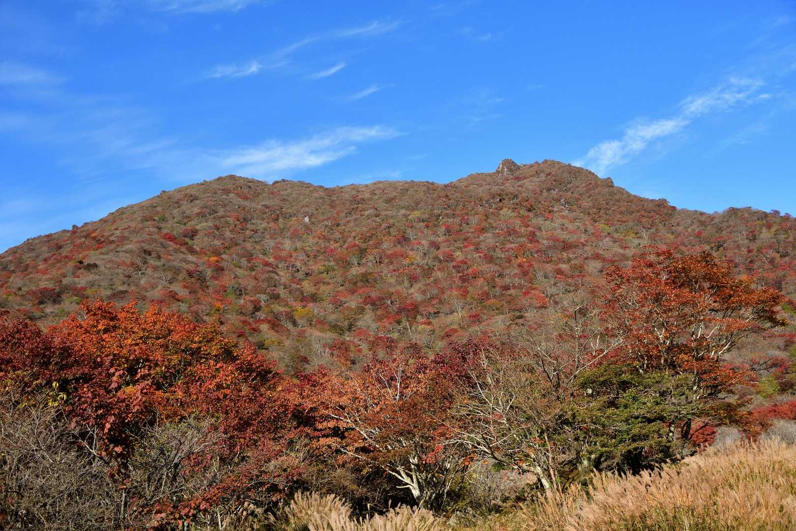 広場から見上げる大船山です。