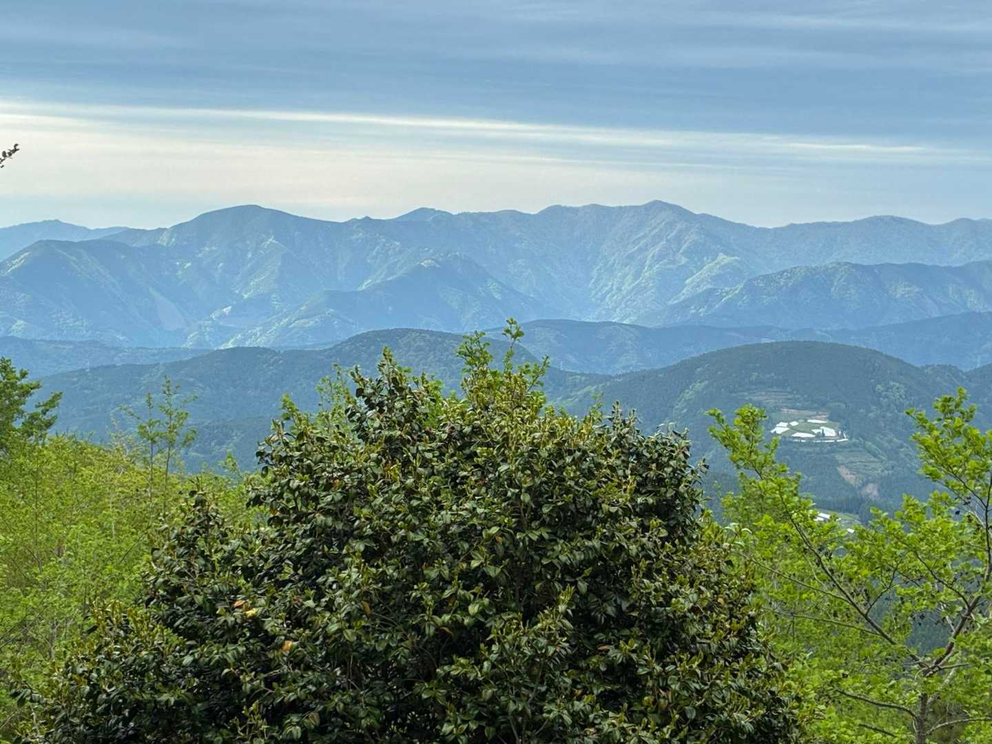 春埜山 往復コースの写真