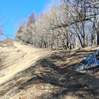 気持ちよく、歩きやすい