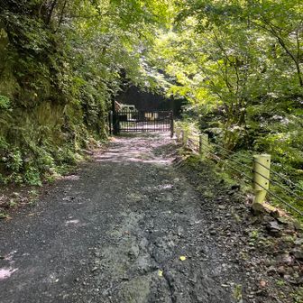 片倉ゲートに戻ってきました