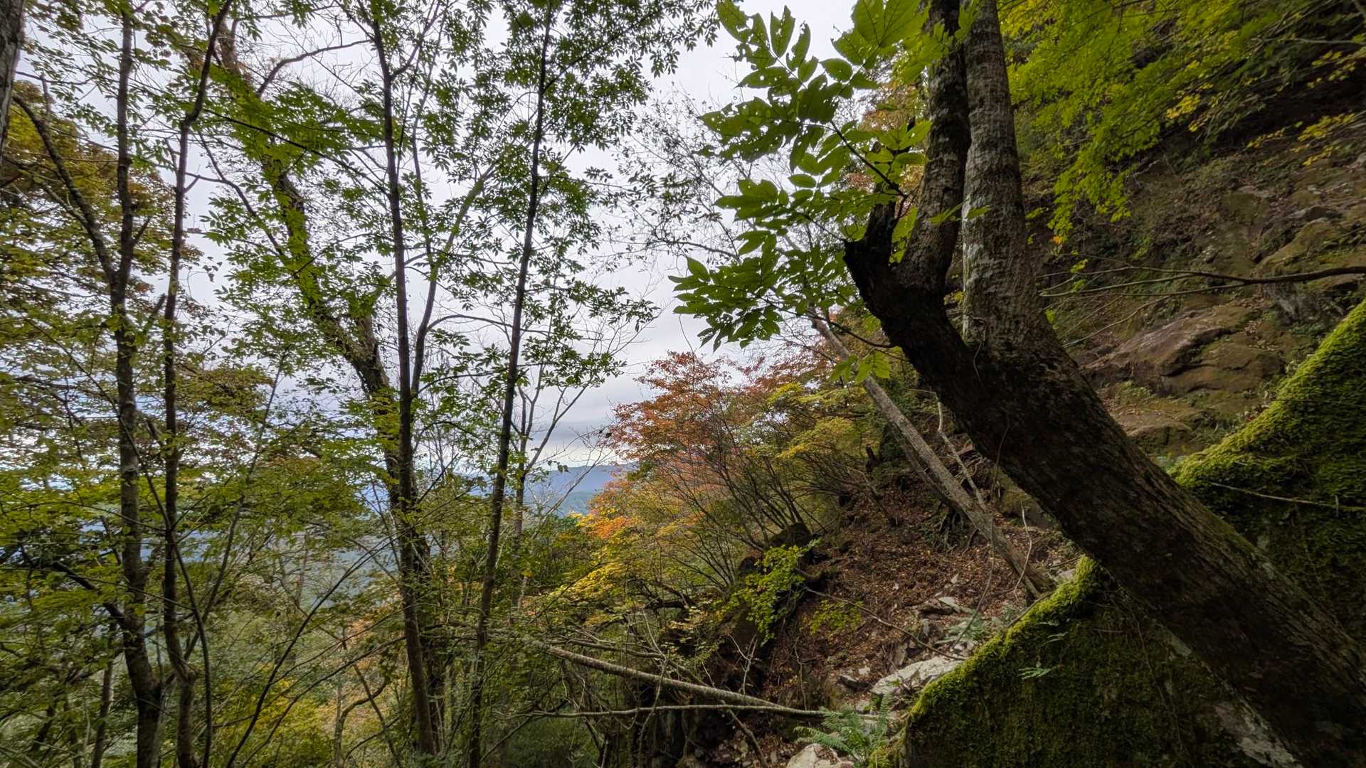 豊前坊登山口-英彦山 往復コースの写真