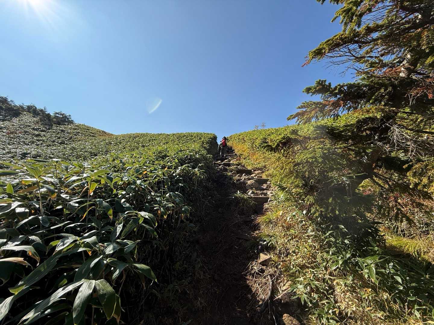 山の上の世界まで、あともう少し🏃‍♀️